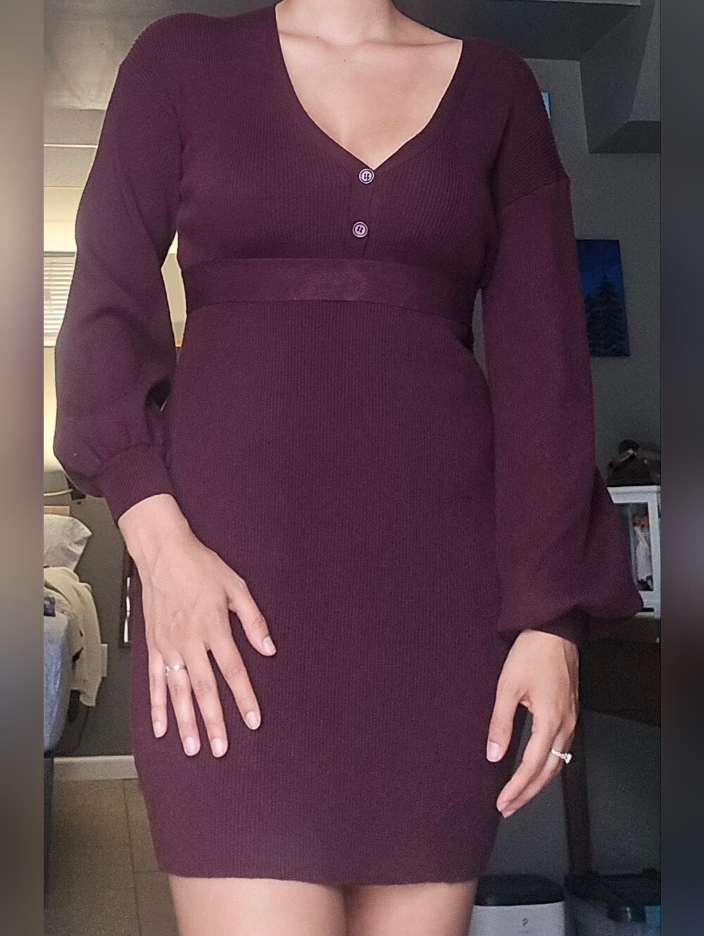 SHEIN Burgundy Long Sleeve Dress